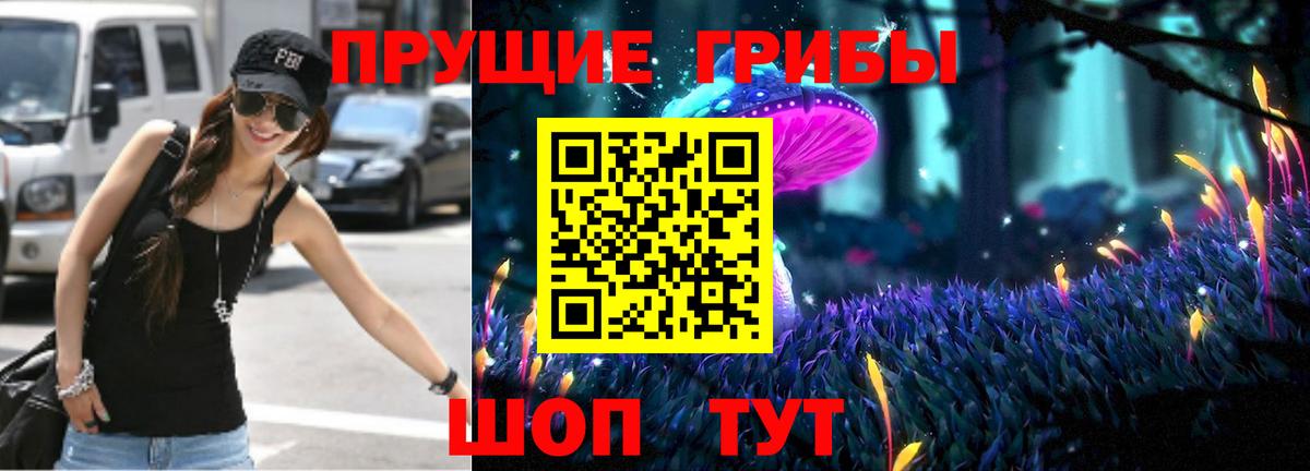 Псилоцибиновые грибы мицелий Новокубанск